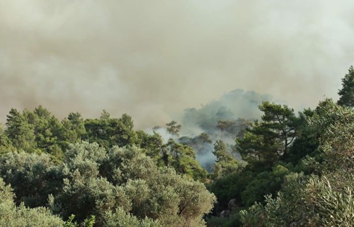 In Turkey, forest fires have engulfed three provinces.