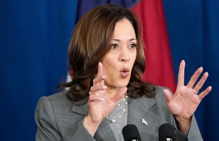 Kamala Harris addressed delegates at the Democratic Convention in Chicago.