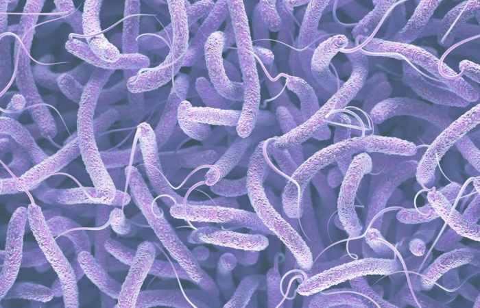 The first case of cholera in 103 years was recorded in Bulgaria.