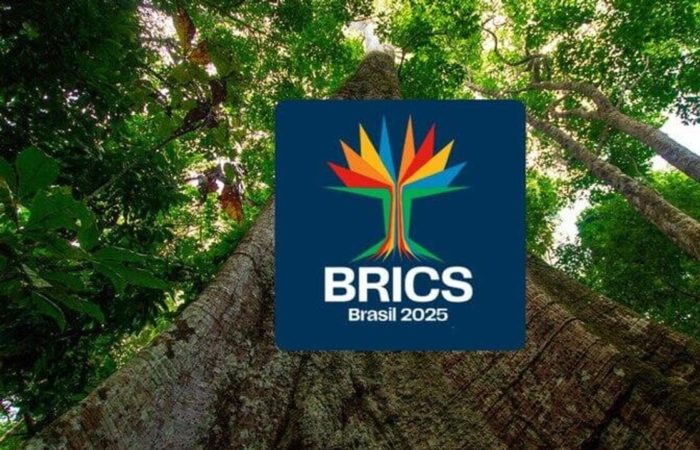 Brazil chose the cotton tree as the BRICS logo.