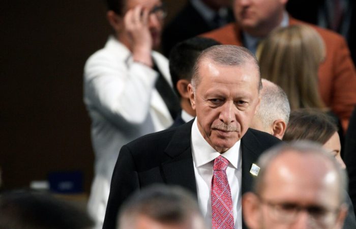 Erdogan will meet with Germany President in Ankara